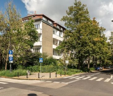Szare Domy | Spowite w zieleni | Oddzielna kuchnia – zdjęcie 4