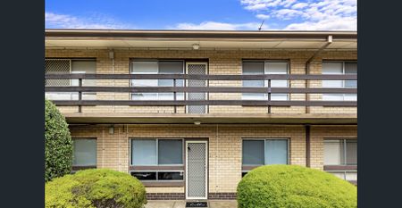 Modern First-Floor Unit in Leafy Daw Park - Photo 5