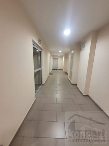 ZACHODNIOPOMORSKIE, ŚRÓDMIEŚCIE-CENTRUM, Szczecin - Фото 3