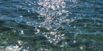 BORD-DE-L'EAU NAVIGABLE - Photo 3