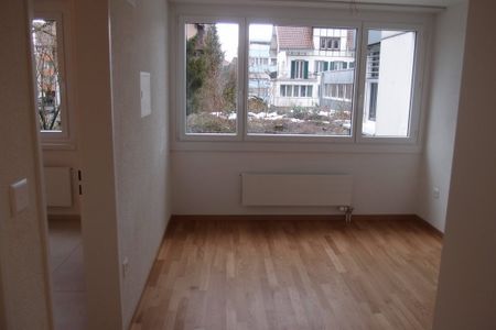 2.5 Zimmer, 62 m², 1. Stock - Foto 2