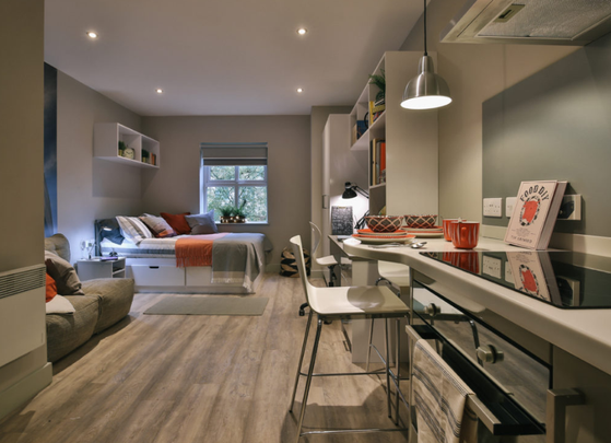 Studio to rent - Photo 1