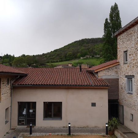 Appartement - T2 - ST ROMAIN AU MONT D OR - Photo 3