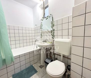 Apartament cu 4 camere de inchiriat in Balcescu Timisoara - Fotografie 5