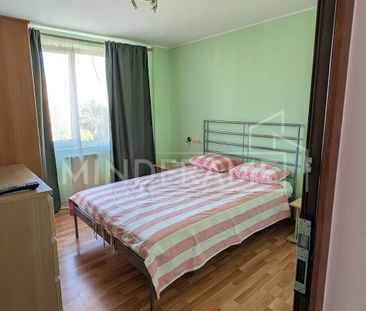 Dristor 10' Metrou Bloc Reabilitat Decomandat Pet Friendly - Photo 2