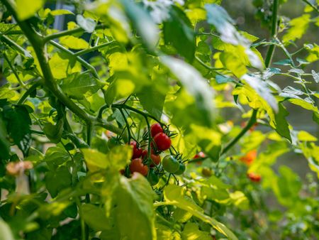 Lärkstigen, Stocksund - Foto 5