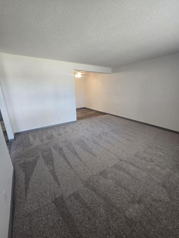 Beautifully Renovated Ground Floor One Bedroom on South Hill - Photo 4