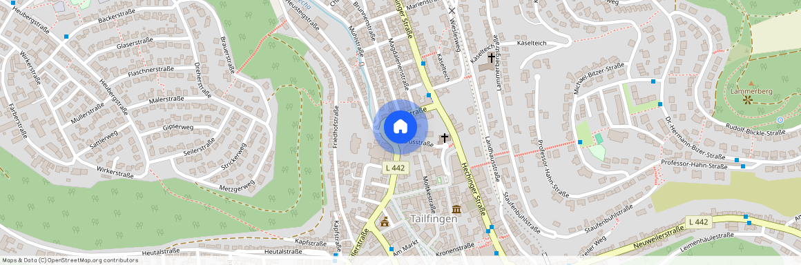 Petrusstraße 9, 72461 Albstadt-Tailfingen