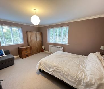 Swanpool Court, Falmouth - Photo 5