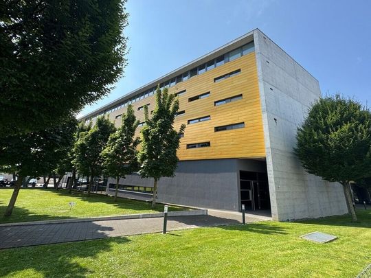 Here ends your search for an apartment - Photo 1