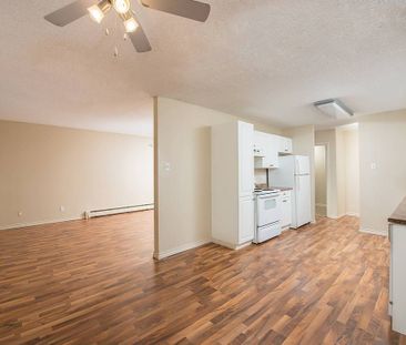 Pioneer Apartments - Photo 5