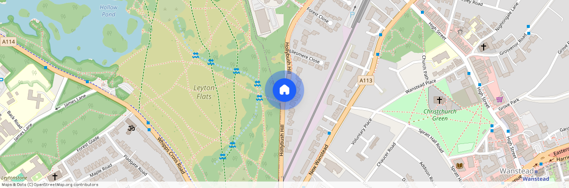 Hollybush Hill, Wanstead, E11