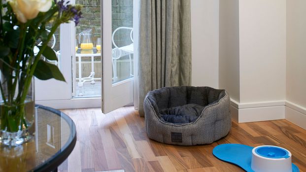 One Bedroom Open Plan Apartment in Harrington Court, London SW7 - Photo 1