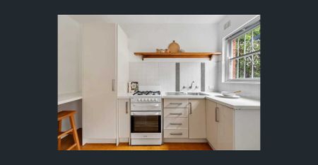 Another Successful Result By David Ibanez - Photo 4