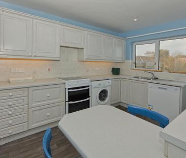 16 Cuttles Court, Comber, BT23 5YR - Photo 2