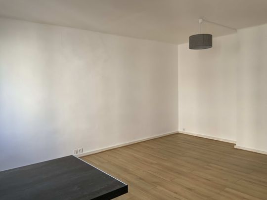 Location Appartement 2 pièces 37m² GRENOBLE 38100 - Photo 1