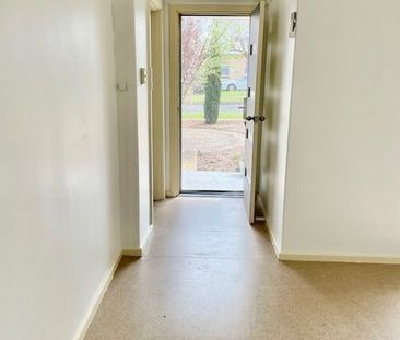 Fresh 3 Bedroom home - Photo 2