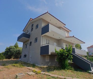 Μεζονέτα για ενοικίαση Χαλκούτσι (Ωρωπός) - Photo 5