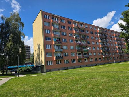 Pronájem bytu 1+1 40 m² - Photo 4