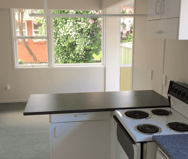 Charming 3 Bedroom Family Home in Desirable Otumoetai - Photo 5