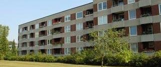 Lust auf Veränderung: ansprechende 3-Zimmer-Wohnung - Photo 1