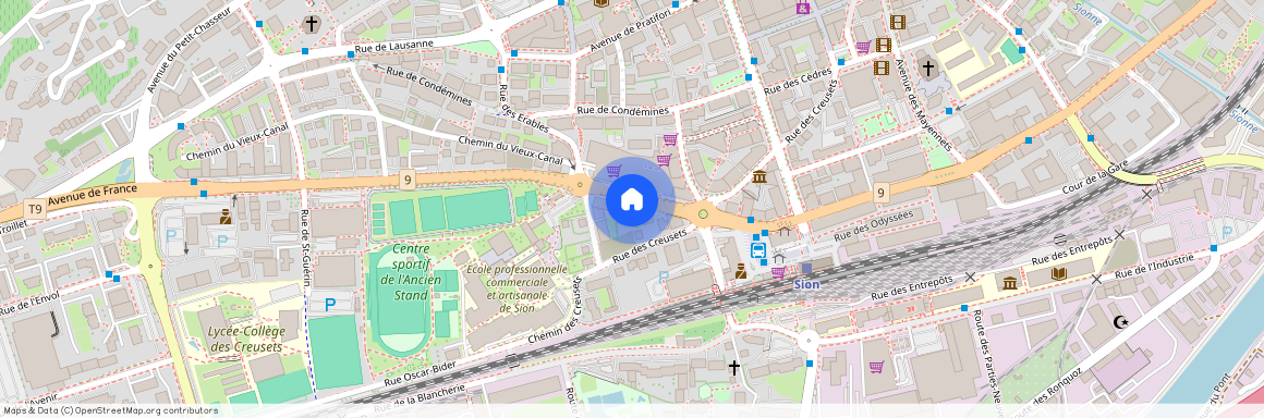 Avenue de France 11 1950 Sion