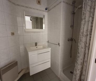 Appartement à louer, 1 pièce - Angers 49000 - Photo 4