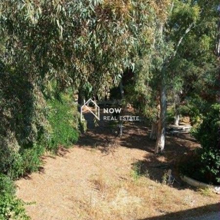Διαμέρισμα 48 τ.μ. για ενοικίαση, Αττική - Υπόλοιπο, Μαρκόπουλο - Photo 3
