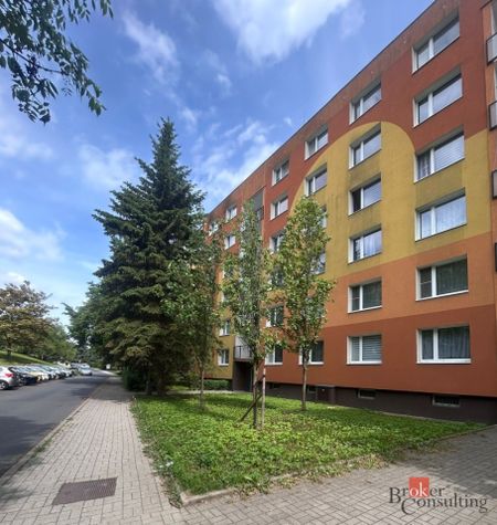 Apartment for rent, 1+1 - Studio, 36m - Photo 3