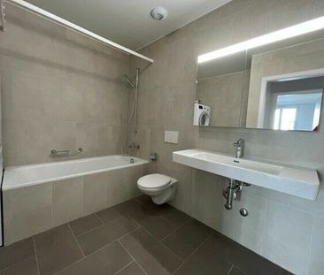 LE TICLE : Appartements neufs à louer - Photo 4