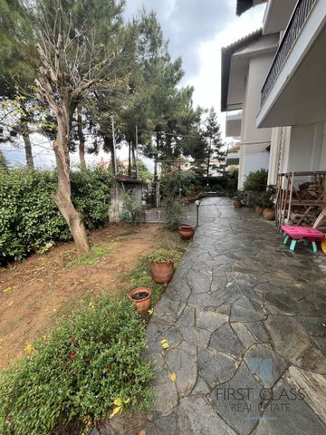 Μονοκατοικία για ενοικίαση Πανόραμα - Photo 3