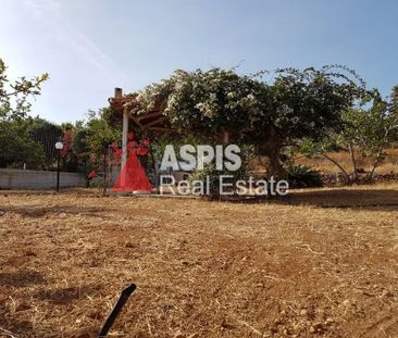 Μονοκατοικία για ενοικίαση Λαγονήσι (Καλύβια Θορικού) - Photo 5