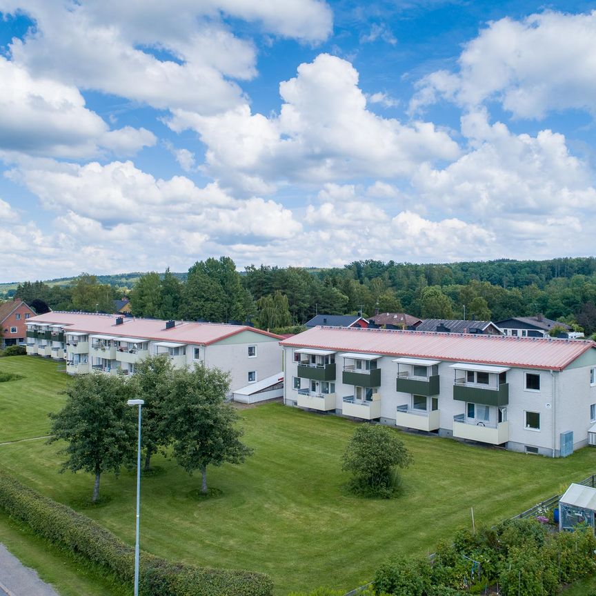 Vimbroplan 23 - Foto 1