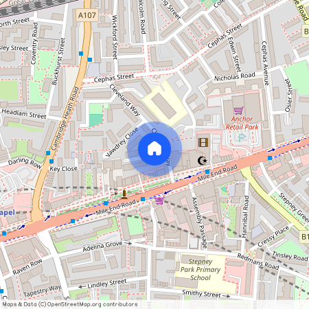 Cleveland Grove, London. E1