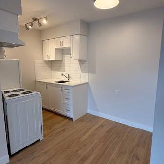 Fully Renovated 1 Bedroom - Photo 1