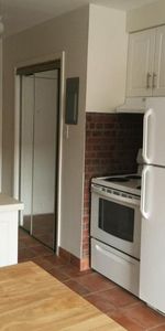 1 1/2 - Montréal (Le Plateau Mont-Royal) - 1 250 $/mois - Photo 3
