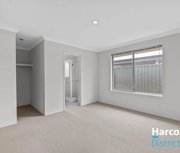 Sunlit Elegance - Photo 3