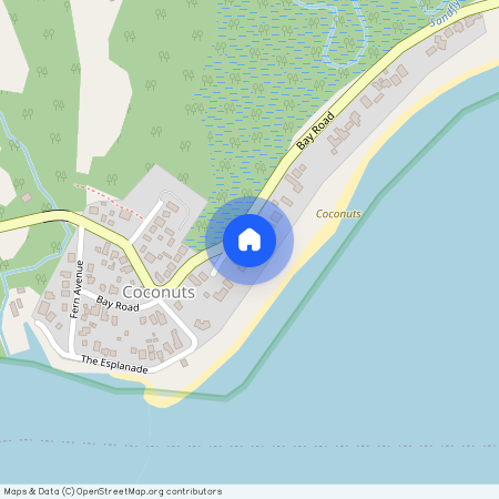 46 Bay Road, Qld 4860, Coconuts