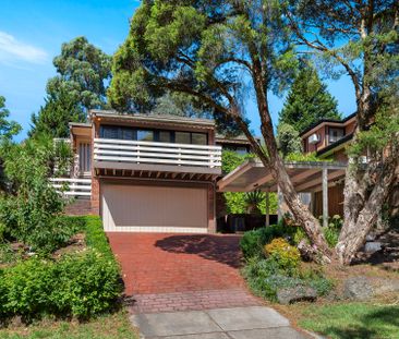 3 Debbie Place, Ringwood North - Photo 4