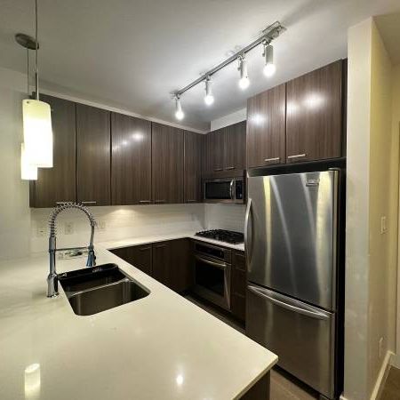 Spacious 1Bed 1 Bath by Douglas College - Photo 1