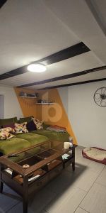 TRANQUILLA E SPAZIOSA CON GIARDINO - Photo 4