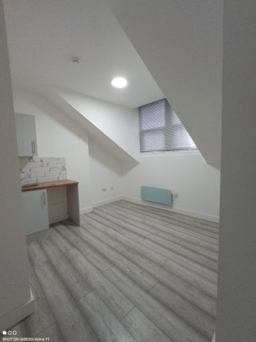 Studio Flat, Gleneldon Road, SW16 - Photo 5