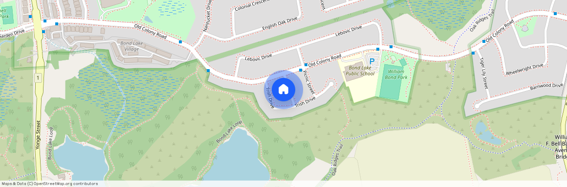 16 Bond Lake Park Street, Richmond Hill