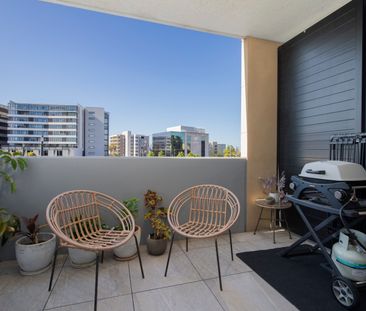 102/509 Hunter Street, Newcastle NSW 2300 - House For Rent | Domain - Photo 5
