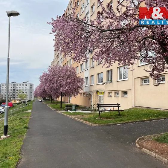 Podnájem bytu 1+kk, DV, 33 m - Photo 1