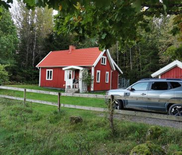 Mollaryd Dragås, Ljung - Foto 2