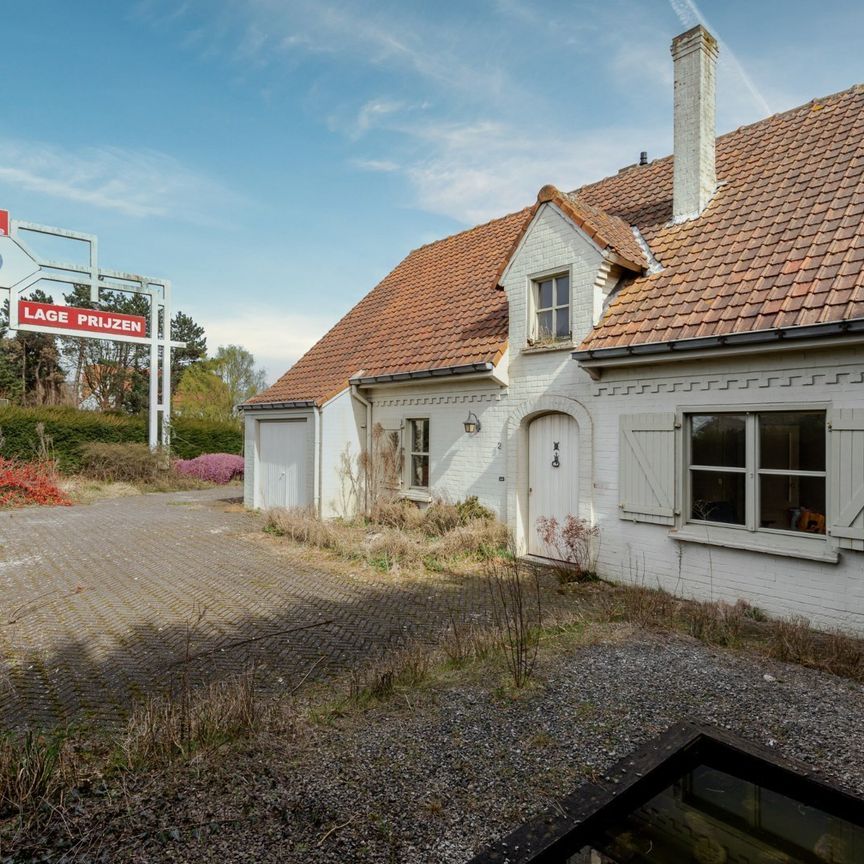 Commercieel gelegen woning met veel mogelijkheden - Foto 1