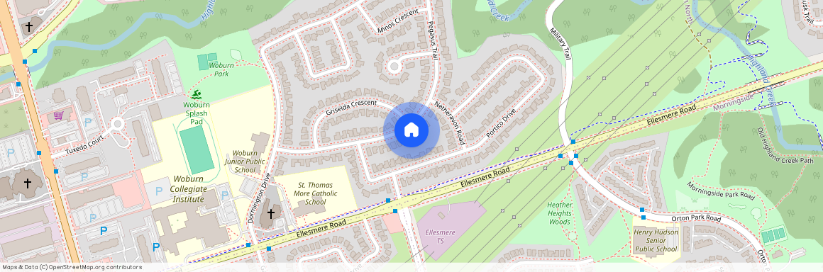41 Pegasus Trail, Toronto