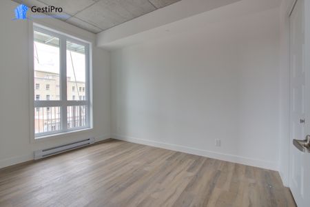 175 St-Vallier Est – Le Gecko - Photo 5