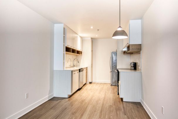 9675 Av. Papineau - Photo 1